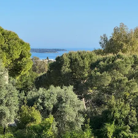 Kazanou * Cannes